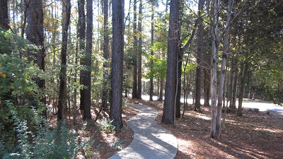 Boyce Park