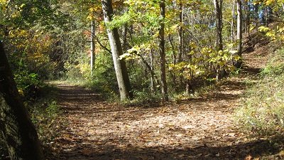 Boyce Park